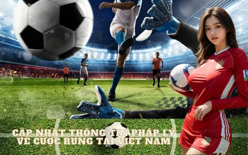 Cập Nhật Thông Tin Pháp Lý Về Cược Rung Tại Việt Nam