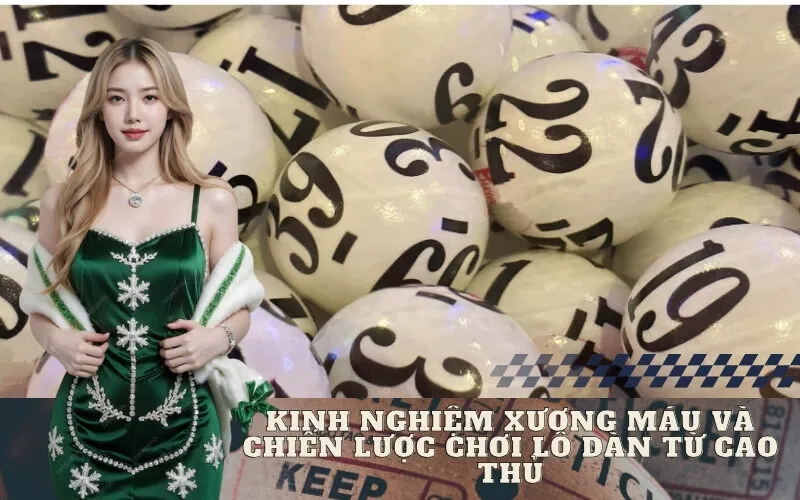 Kinh Nghiệm Xương Máu và Chiến Lược Chơi Lô Dàn Từ Cao Thủ